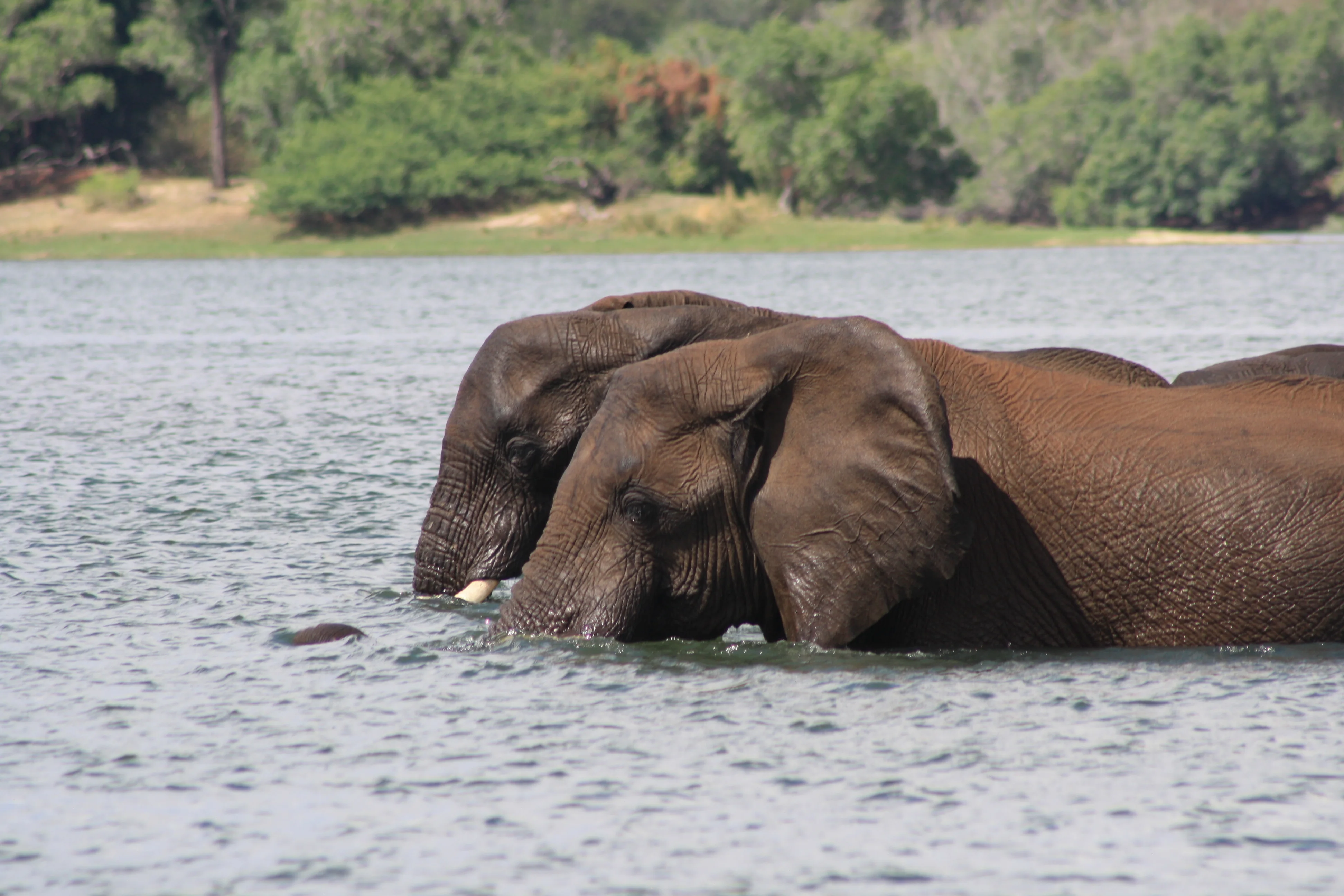 Southern Africa Escape 03