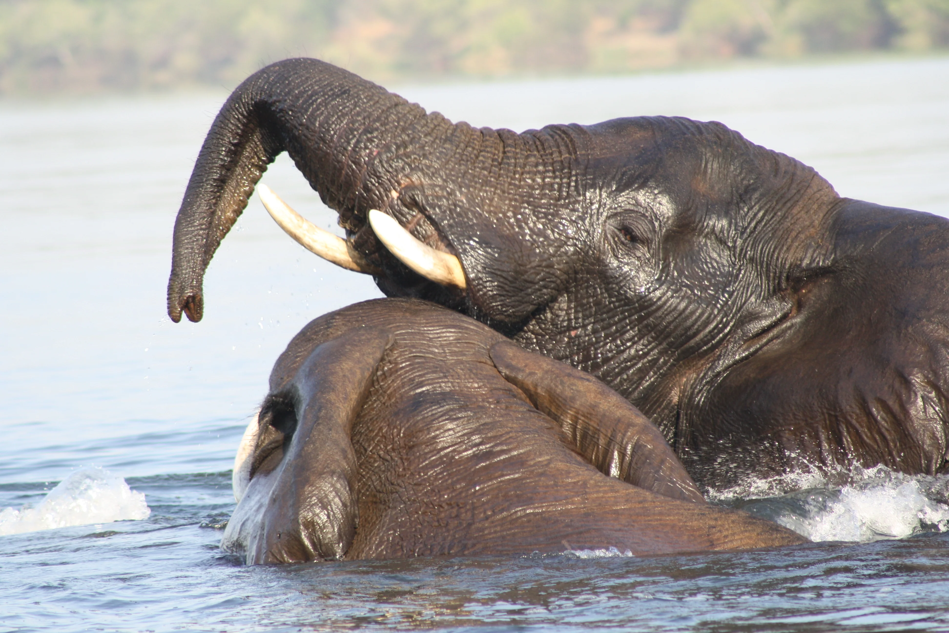 Southern Africa Escape 11