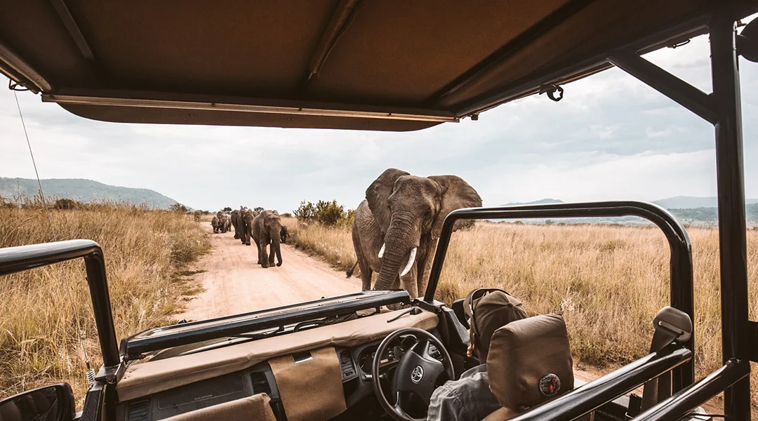 Day 3 : Hwange National Park