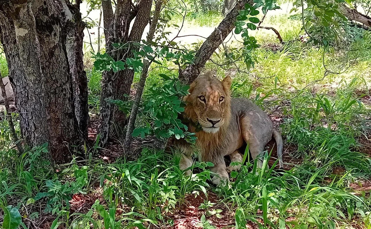 3 Days in Victoria Falls