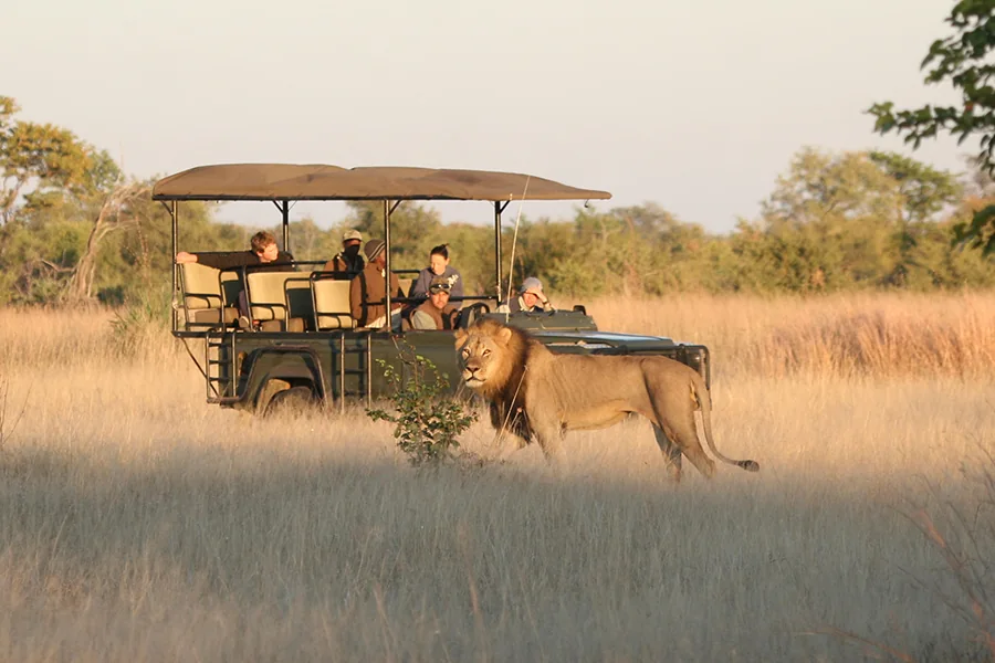 Hwange Game Drive