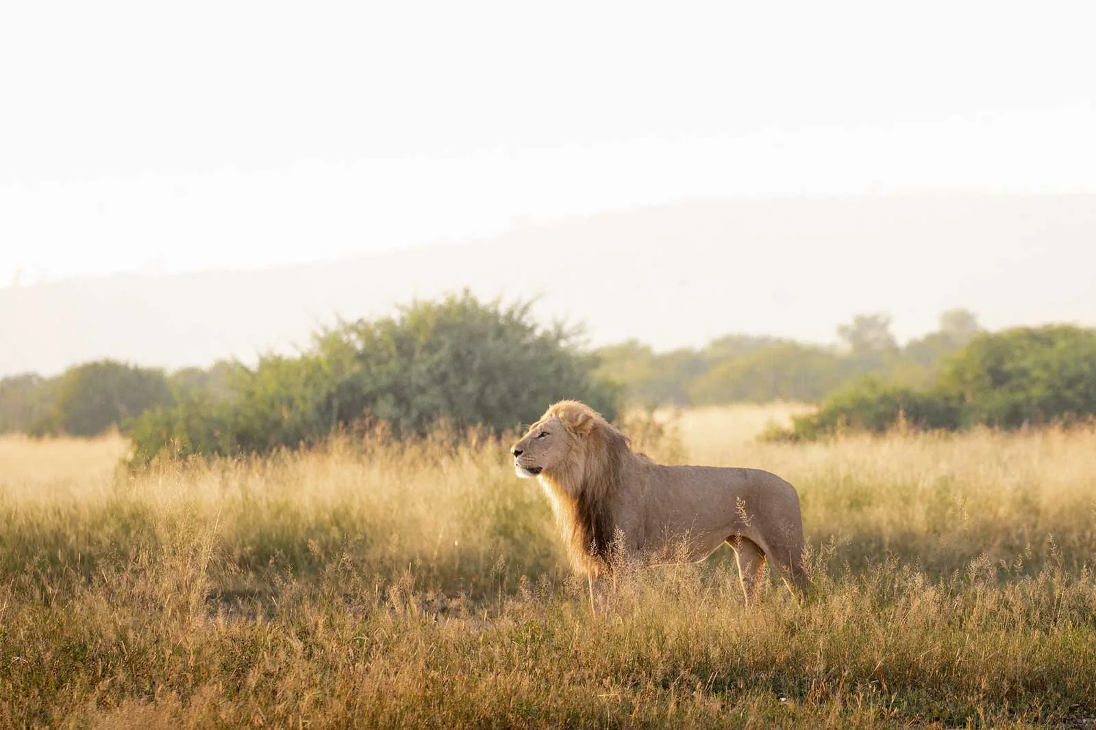 10 Day Mobile Safari to Okavango Delta